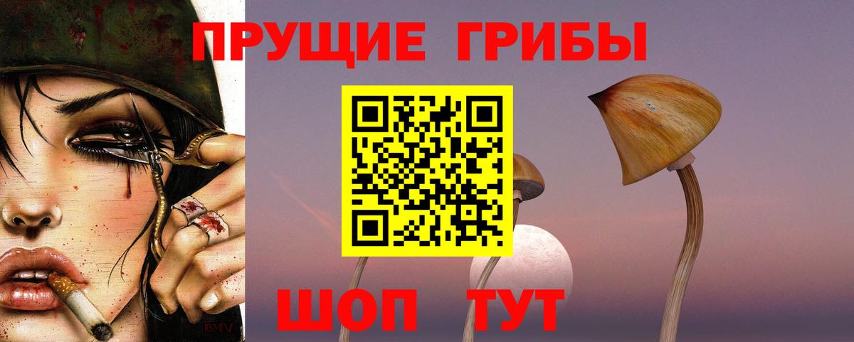 Псилоцибиновые грибы мицелий Мирный